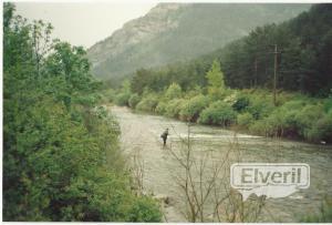 Rio Esca (Navarra), sent by: i (Not registered)