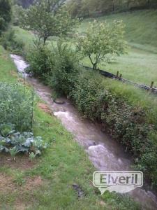 kuku erreka(Guipuzcoa), sent by: txiki (Not registered)