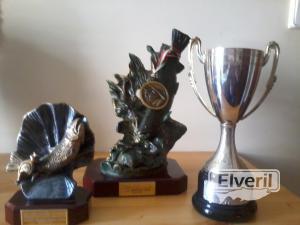 trofeos, enviado por: kiki (No registrado)