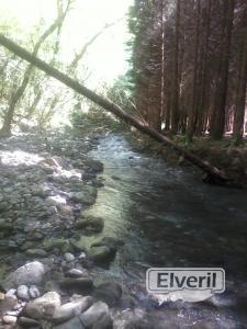 con tanta riada se caen los arboles, sent by: Iñigo (Not registered)