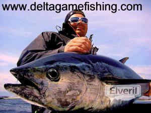 atunes delta del ebro, envoyé par: Delta Game Fishing (Non enregistré)