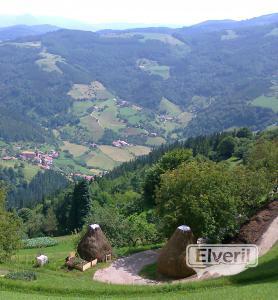 Ernio (Regil), envoyé par: Imagenes (Non enregistré)
