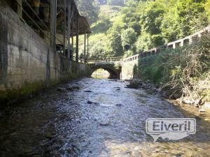 Albistur Erreka (Afluente rio Oria) Gipuzkoa, enviado por: Imagenes (No registrado)