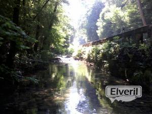 Albistur Erreka (Afluente rio Oria) Gipuzkoa, envoyé par: Imagenes (Non enregistré)