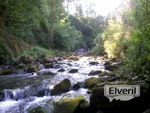 Albistur Erreka (Afluente rio Oria) Gipuzkoa, envoyé par: Imagenes (Non enregistré)