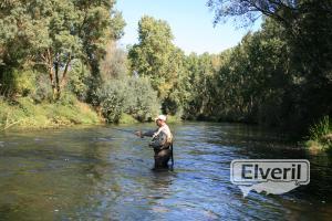 Galisancho, enviado por: Burgales de Madrid (No registrado)