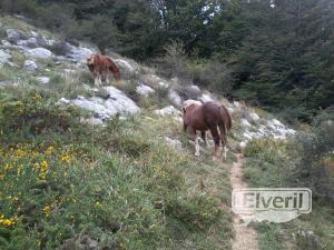 Macizo del Izarraitz (Gipuzkoa), enviado por: Eneko (No registrado)