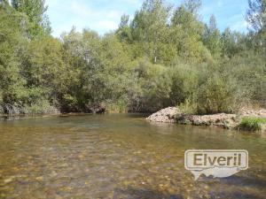 Río Arlanzon en San Millan, envoyé par: Burgales de Madrid (Non enregistré)