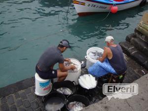 limpiando pescado en el puerto, sent by: agustin (Not registered)