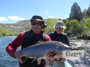 Trucha Marron, envoyé par: Johansen