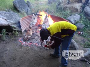 Corderito Patagonico, enviado por: Johansen