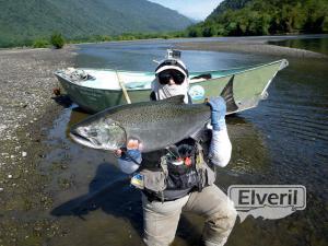 King Salmon, enviado por: Daniel Johansen, pescador Patricio Rondini (No registrado)