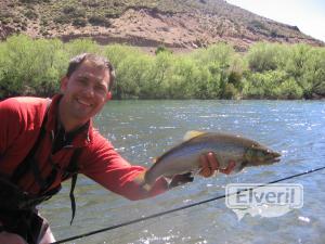 Otro preciosidad del Limay, enviado por: Administrador