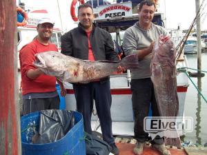 ABC SANDOKAN GUIA DE PESCA, sent by: SANDOKAN (Not registered)