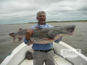 SURUBI DE 40 KG., enviado por: Carlos Tortul (No registrado)