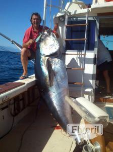 Atun gigante. Verano 2013, envoyé par: Pescaenbarco.com (Non enregistré)