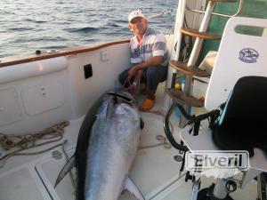 atun 265 kg., sent by: Miguel Santos (Not registered)