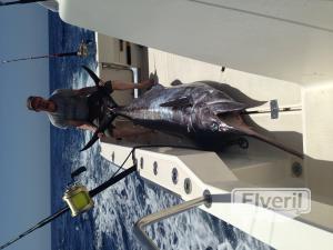 Blue Marlin, enviado por: Blue marlin (No registrado)