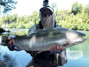 King salmon, , envoyé par: Johansen