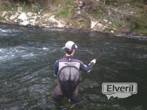 tramo ciprinidos(gipuzkoa)urola, enviado por: Erreka (No registrado)