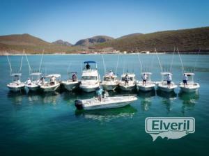 Our Fleet of Boats, sent by: Leonard Phillips (Not registered)