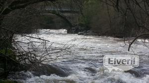 tramo libre sin muerte Rio Deza en Merza, enviado por: RioDeza (No registrado)