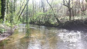 Rio Toxa coto ordinario, enviado por: RioDeza (No registrado)