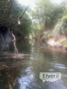 regatas de costa (Gipuzkoa), enviado por: juan (No registrado)