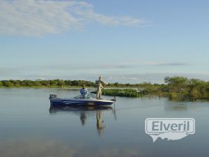 Pescando desde la lancha, sent by: Johansen