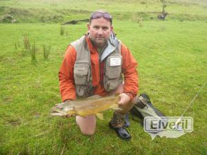 6lb Motu Brown, sent by: Simon Hustler (Not registered)