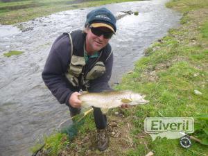 Another 6lb Motu brown, sent by: Simon Hustler (Not registered)