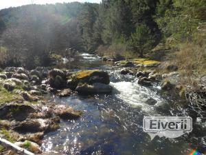 Hoyos del Espino, enviado por: Miguel Ángel Salazar (No registrado)