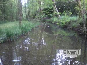 Rios y Regatas de Guipuzcoa, enviado por: Aritz (No registrado)