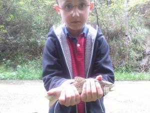 Rios y Regatas de Guipuzcoa, enviado por: Aritz (No registrado)