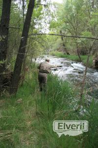 Pescando Cristinas, enviado por: Administrador