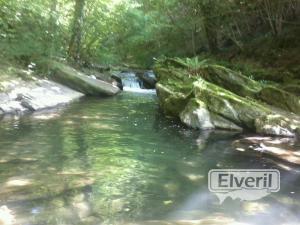 imagenes, enviado por: pescador (No registrado)