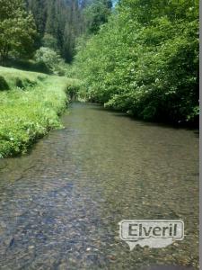 imagenes, enviado por: pescador (No registrado)