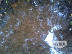 Subterraneas de aguas de hierro, enviado por: ENEKO