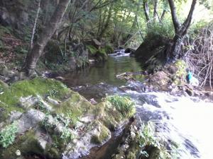 Nuarbe (Ibai-Eder) Urola/Guipuzcoa /Pais Vasco, enviado por: Aitor (No registrado)