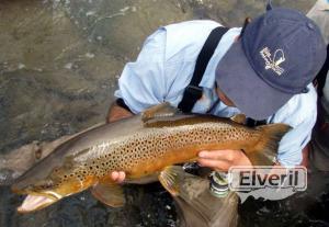 Bariloche Outfitters, envoyé par: Johansen