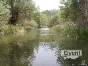 Tabla de la zona baja, enviado por: Burgalés de Madrid (No registrado)