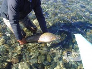 Rio Limay, sent by: Johansen