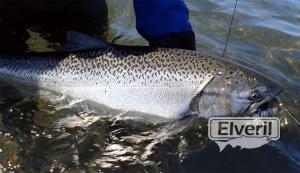 Bariloche Outfitters, enviado por: Johansen