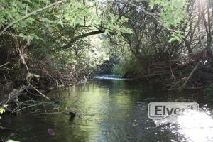 CERRADO Y SIN AGUA, sent by: Que pena de río (Not registered)