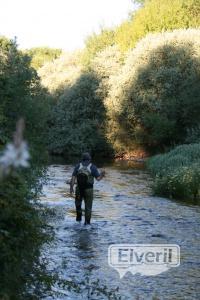 RIO CERRADO, enviado por: Burgalés de Madrid (No registrado)