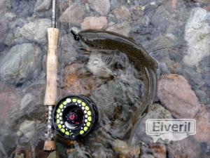 Bariloche Outfitters, enviado por: Johansen