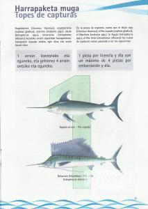 Kirol Arrantza/Pesca Recreativa, sent by: Licencias on-line/www.nasdap.net (Not registered)