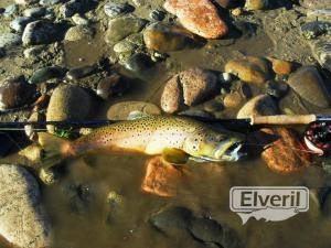 Bariloche Outfitters, envoyé par: Johansen