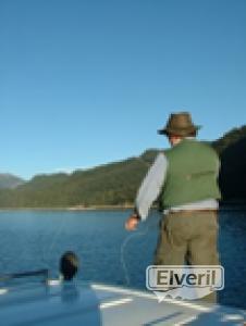 Pesca en el Llanquihue, enviado por: Alfredo Labbé (No registrado)