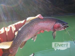 Bariloche Outfitters, enviado por: Johansen